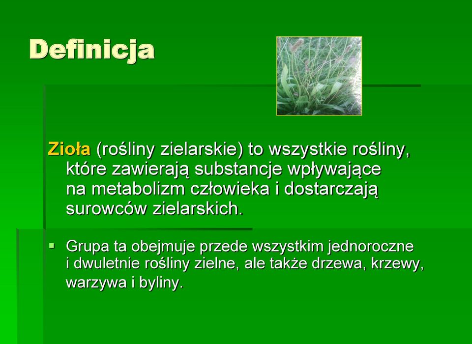 dostarczają surowców zielarskich.