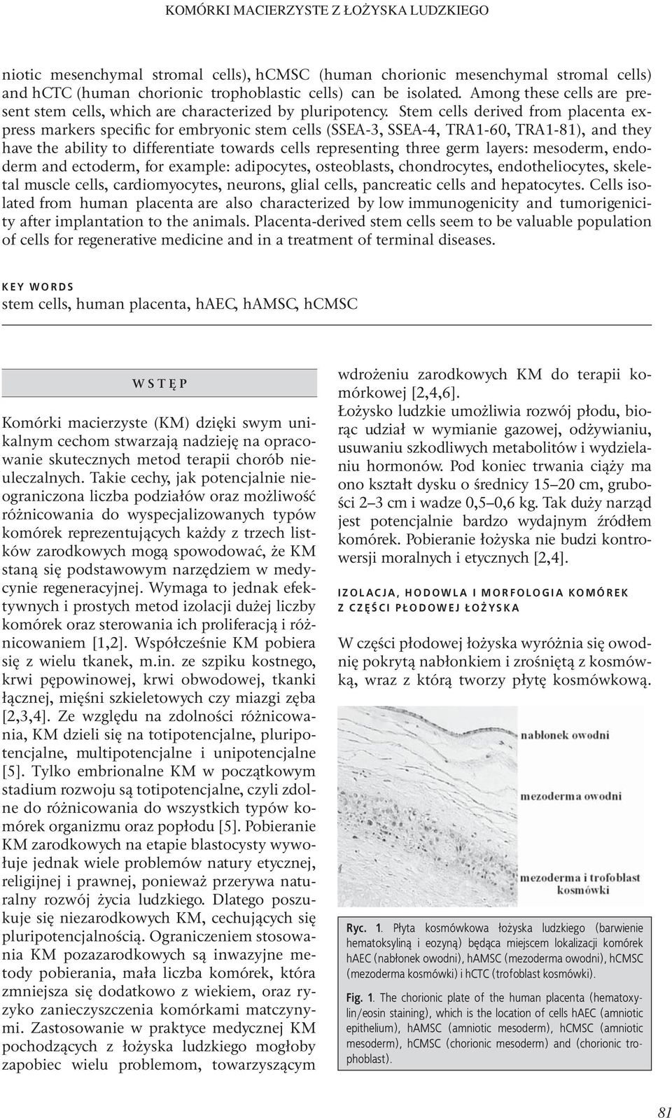 Stem cells derived from placenta express markers specific for embryonic stem cells (SSEA-3, SSEA-4, TRA1-60, TRA1-81), and they have the ability to differentiate towards cells representing three germ