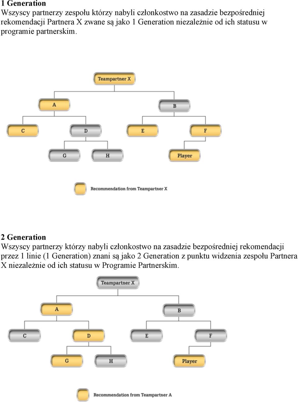 2 Generation Wszyscy partnerzy którzy nabyli członkostwo na zasadzie bezpośredniej rekomendacji przez 1