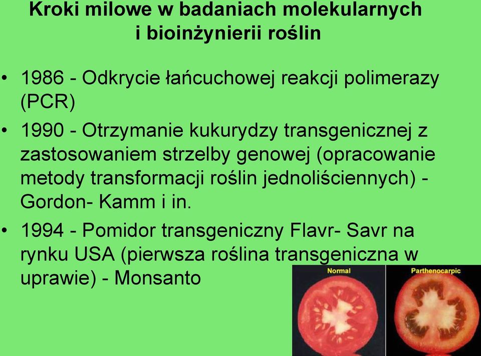 genowej (opracowanie metody transformacji roślin jednoliściennych) - Gordon- Kamm i in.