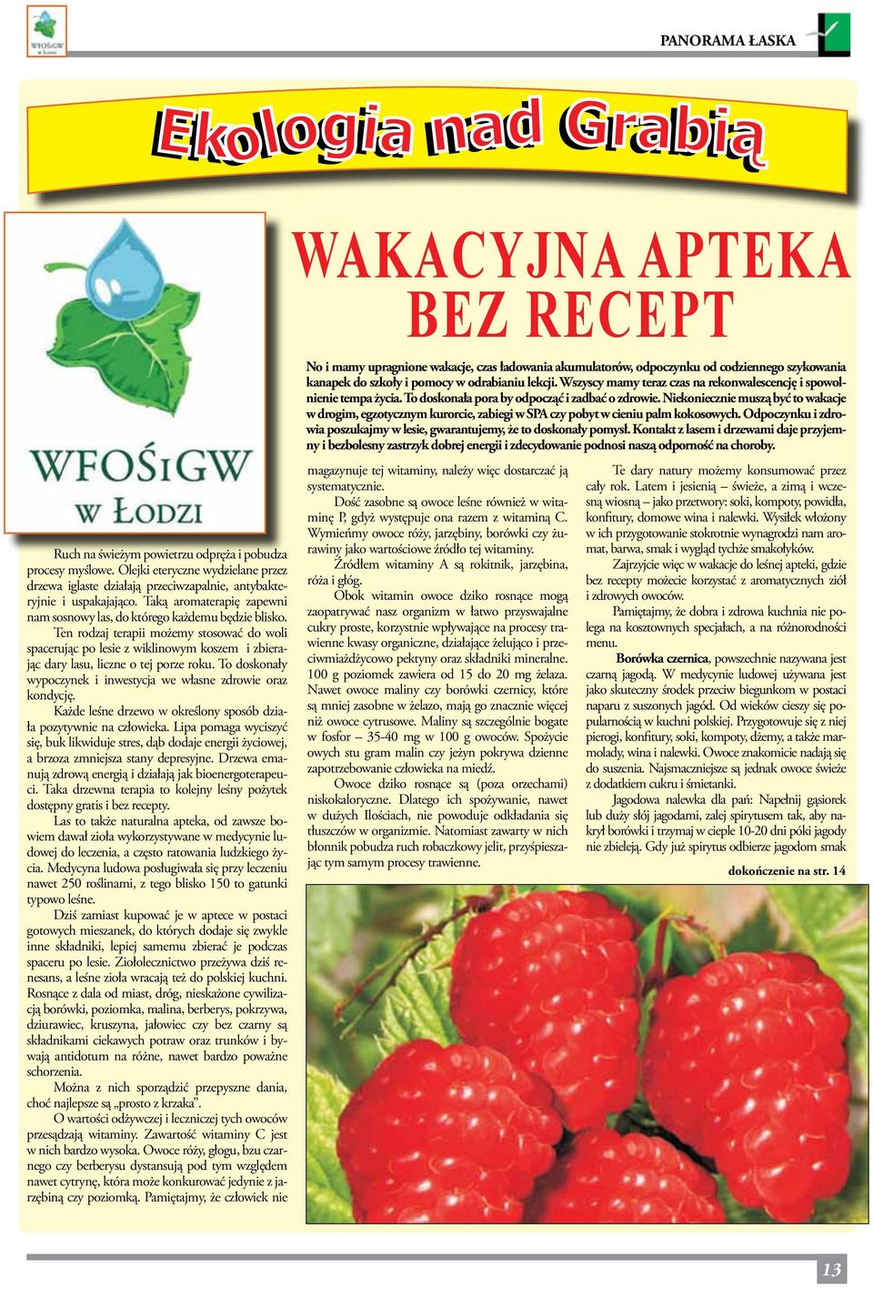 Ten rodzaj terapii możemy stosować do woli spacerując po lesie z wiklinowym koszem i zbierając dary lasu, liczne o tej porze roku. To doskonały wypoczynek i inwestycja we własne zdrowie oraz kondycję.