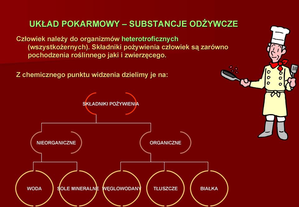 Składniki pożywienia człowiek są zarówno pochodzenia roślinnego jaki i