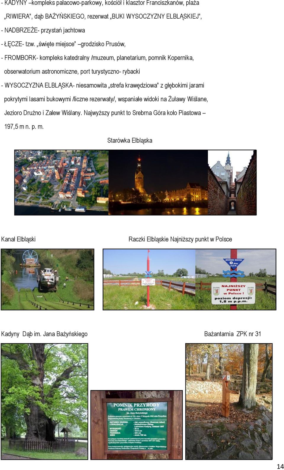 ELBLĄSKA- niesamowita strefa krawędziowa z głębokimi jarami pokrytymi lasami bukowymi /liczne rezerwaty/, wspaniałe widoki na Żuławy Wiślane, Jezioro Drużno i Zalew Wiślany.