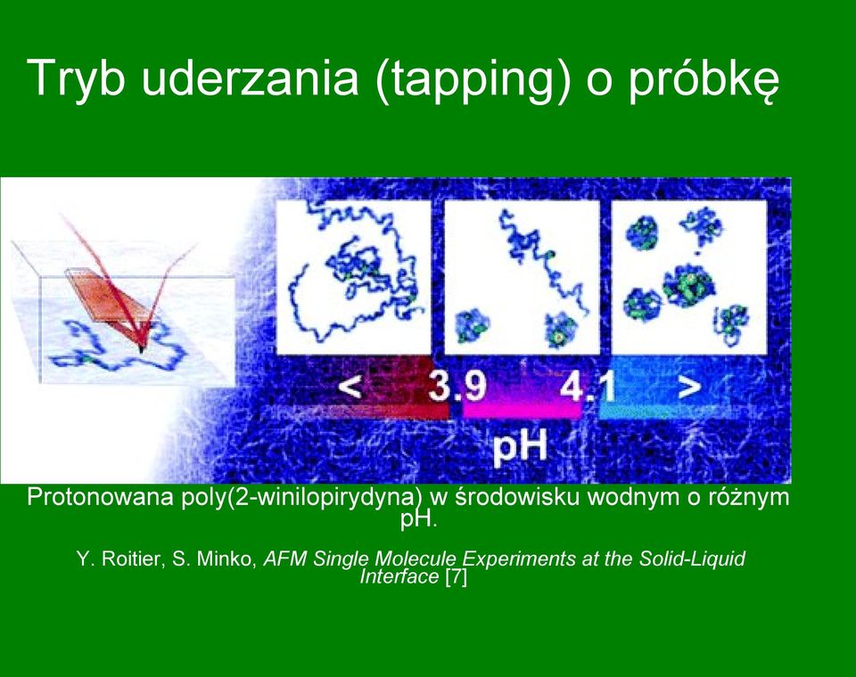 różnym ph. Y. Roitier, S.