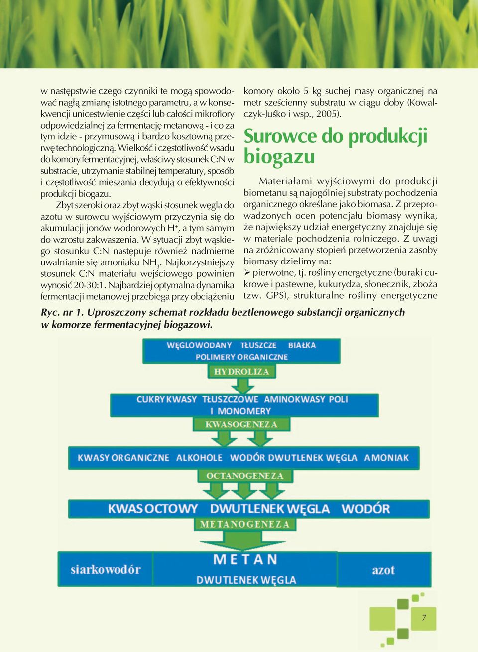 Wielkość i częstotliwość wsadu do komory fermentacyjnej, właściwy stosunek C:N w substracie, utrzymanie stabilnej temperatury, sposób i częstotliwość mieszania decydują o efektywności produkcji