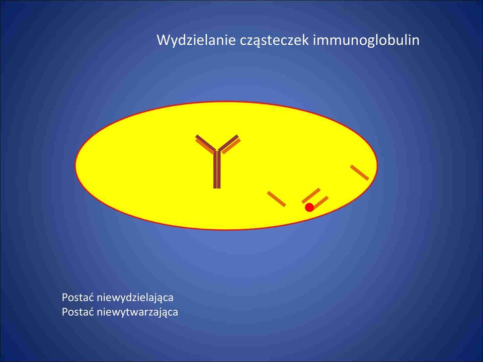 immunoglobulin