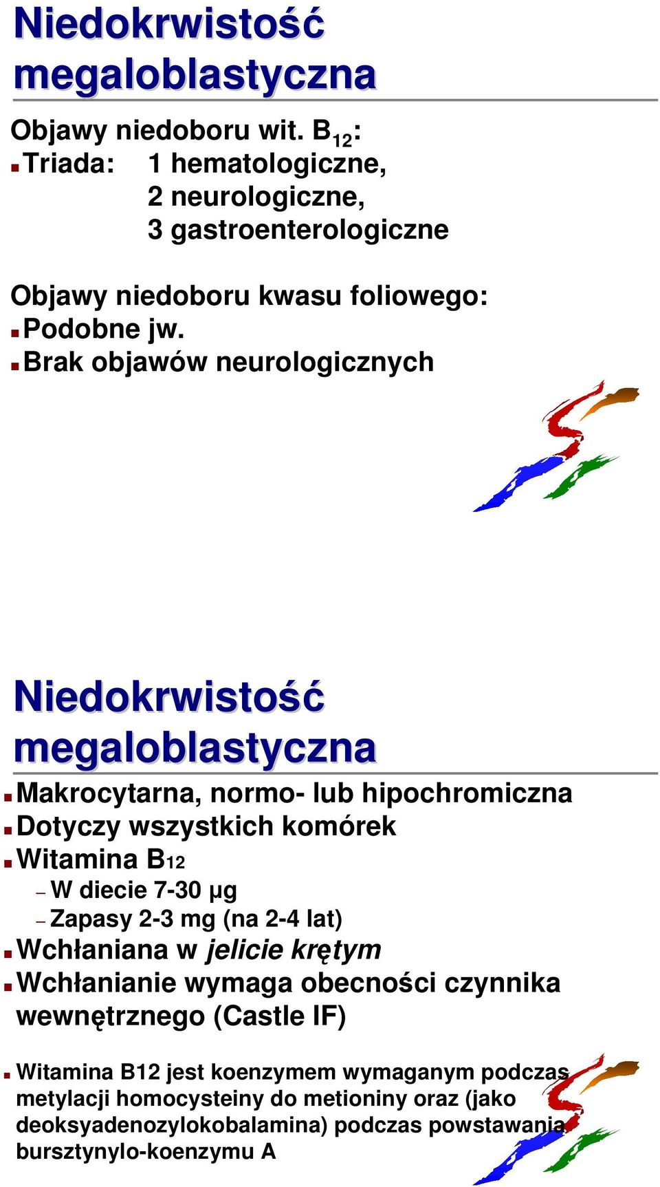 Brak objawów neurologicznych Niedokrwistość megaloblastyczna Makrocytarna, normo- lub hipochromiczna Dotyczy wszystkich komórek Witamina B12 W diecie