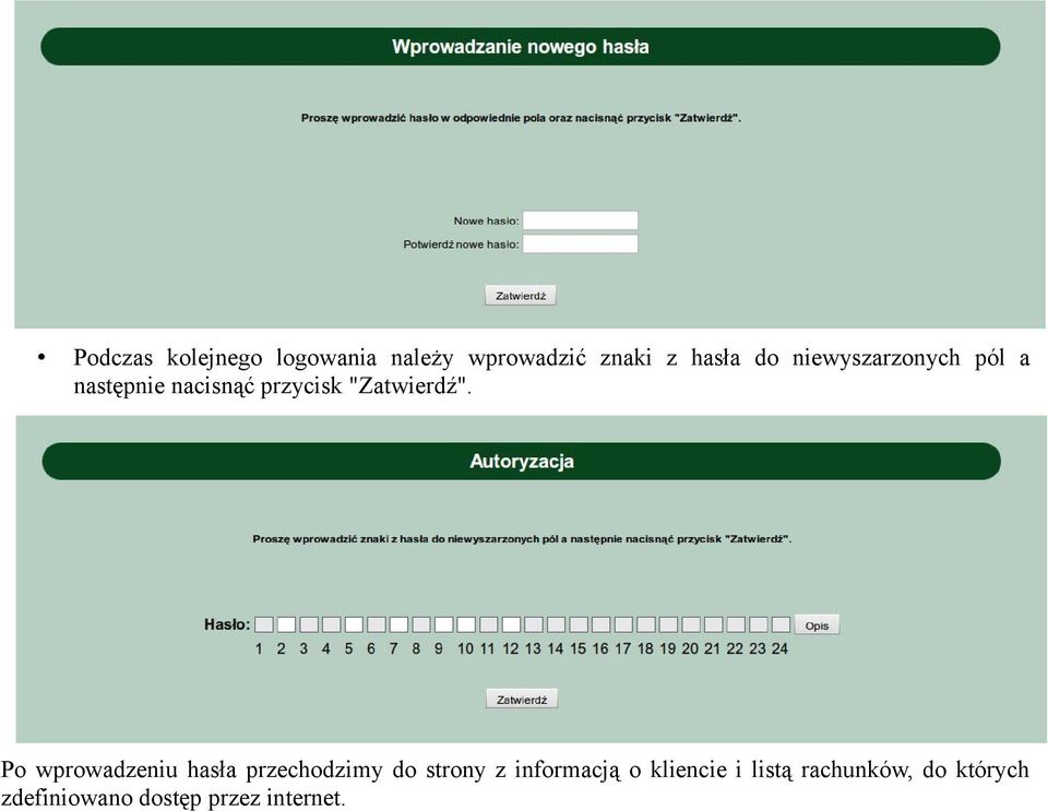 Po wprowadzeniu hasła przechodzimy do strony z informacją o