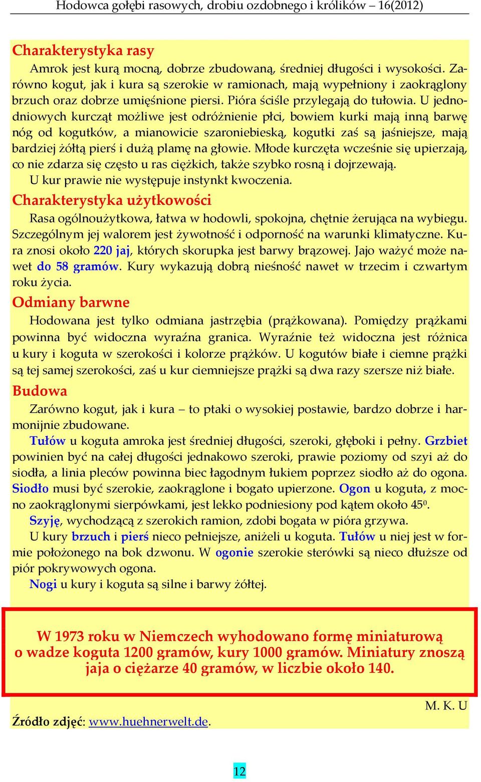 U jednodniowych kurcząt możliwe jest odróżnienie płci, bowiem kurki mają inną barwę nóg od kogutków, a mianowicie szaroniebieską, kogutki zaś są jaśniejsze, mają bardziej żółtą pierś i dużą plamę na