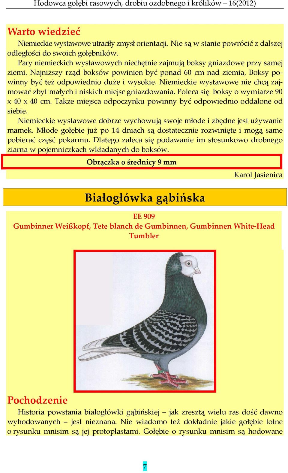 Niemieckie wystawowe nie chcą zajmować zbyt małych i niskich miejsc gniazdowania. Poleca się boksy o wymiarze 90 x 40 x 40 cm. Także miejsca odpoczynku powinny być odpowiednio oddalone od siebie.