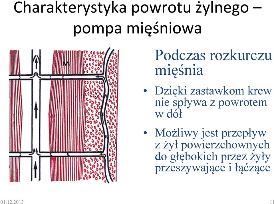 powrotem w dół Możliwy jest przepływ z żył