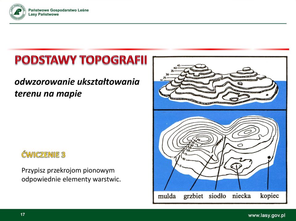 mapie Przypisz przekrojom