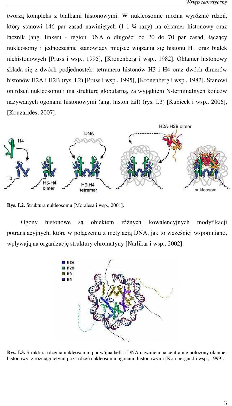 , 1982]. Oktamer histonowy składa się z dwóch podjednostek: tetrameru histonów H3 i H4 oraz dwóch dimerów histonów H2A i H2B (rys. I.2) [Pruss i wsp., 1995], [Kronenberg i wsp., 1982]. Stanowi on rdzeń nukleosomu i ma strukturę globularną, za wyjątkiem N-terminalnych końców nazywanych ogonami histonowymi (ang.