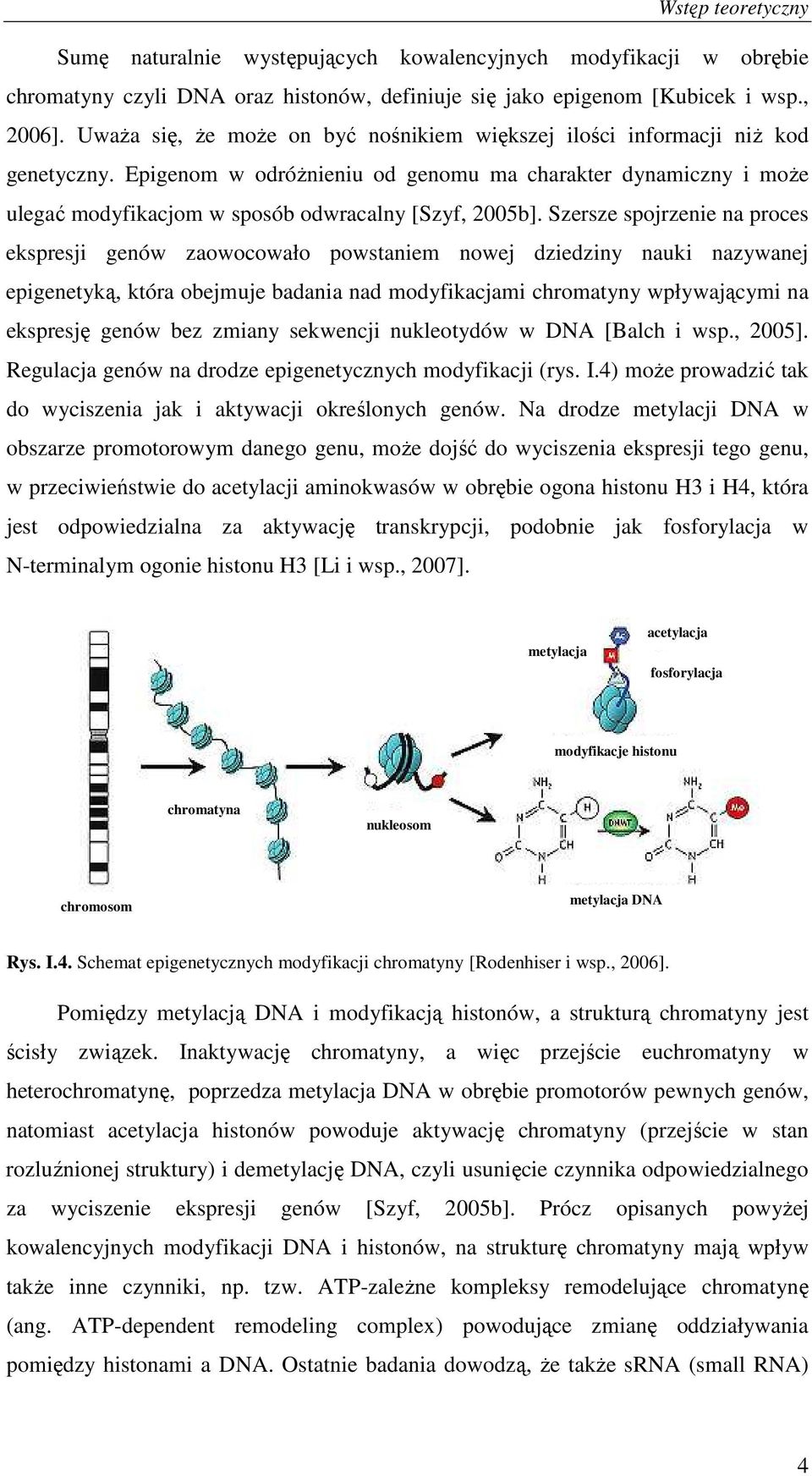 Epigenom w odróŝnieniu od genomu ma charakter dynamiczny i moŝe ulegać modyfikacjom w sposób odwracalny [Szyf, 2005b].