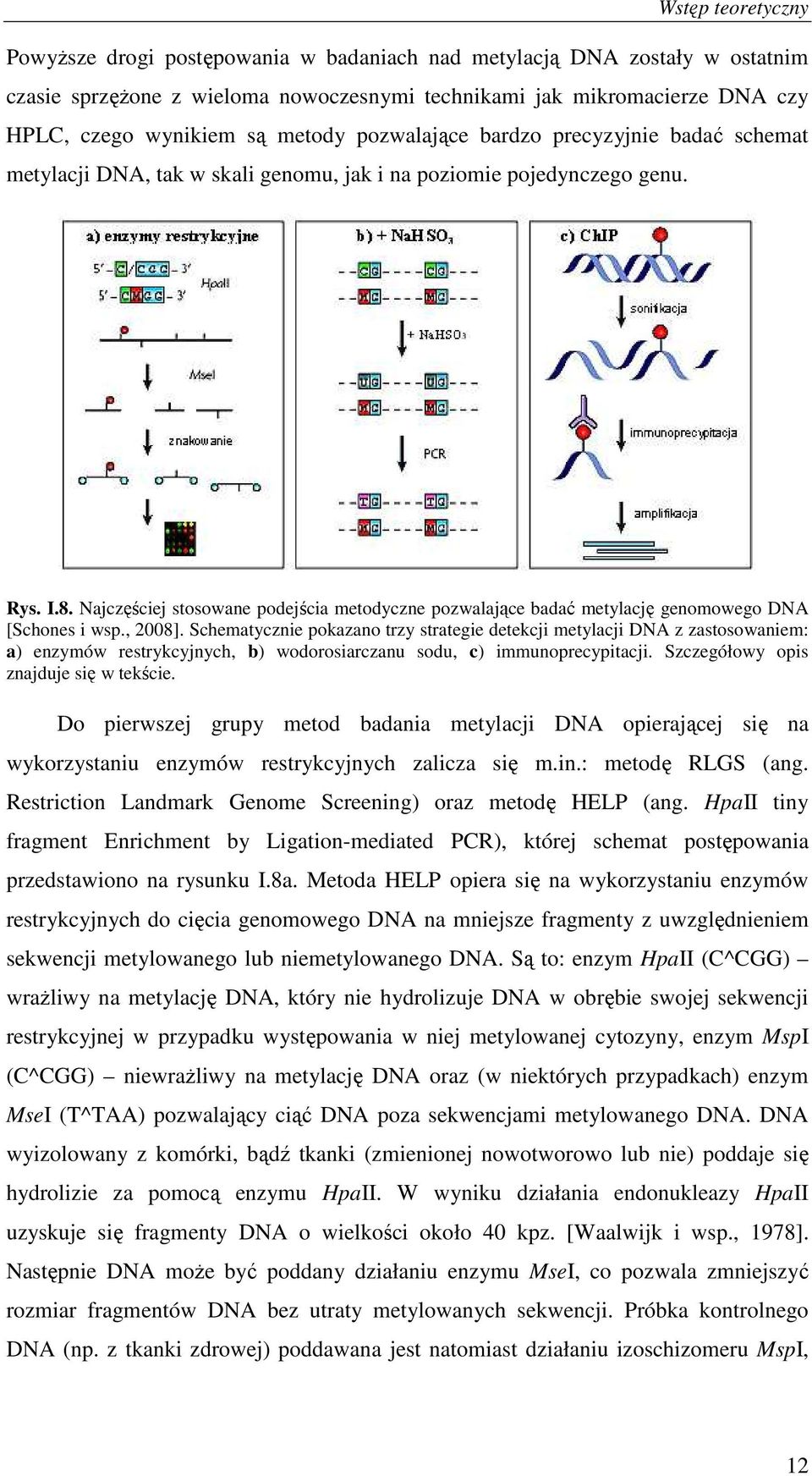 Najczęściej stosowane podejścia metodyczne pozwalające badać metylację genomowego DNA [Schones i wsp., 2008].