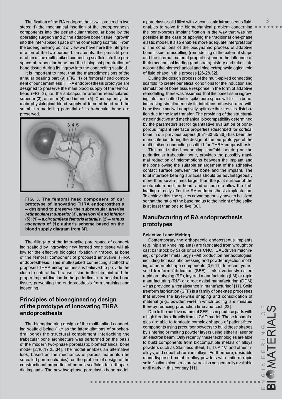 From the bioengineering point of view we have here the interpenetration of the two porous biomaterials: the press-fit penetration of the multi-spiked connecting scaffold into the pore space of