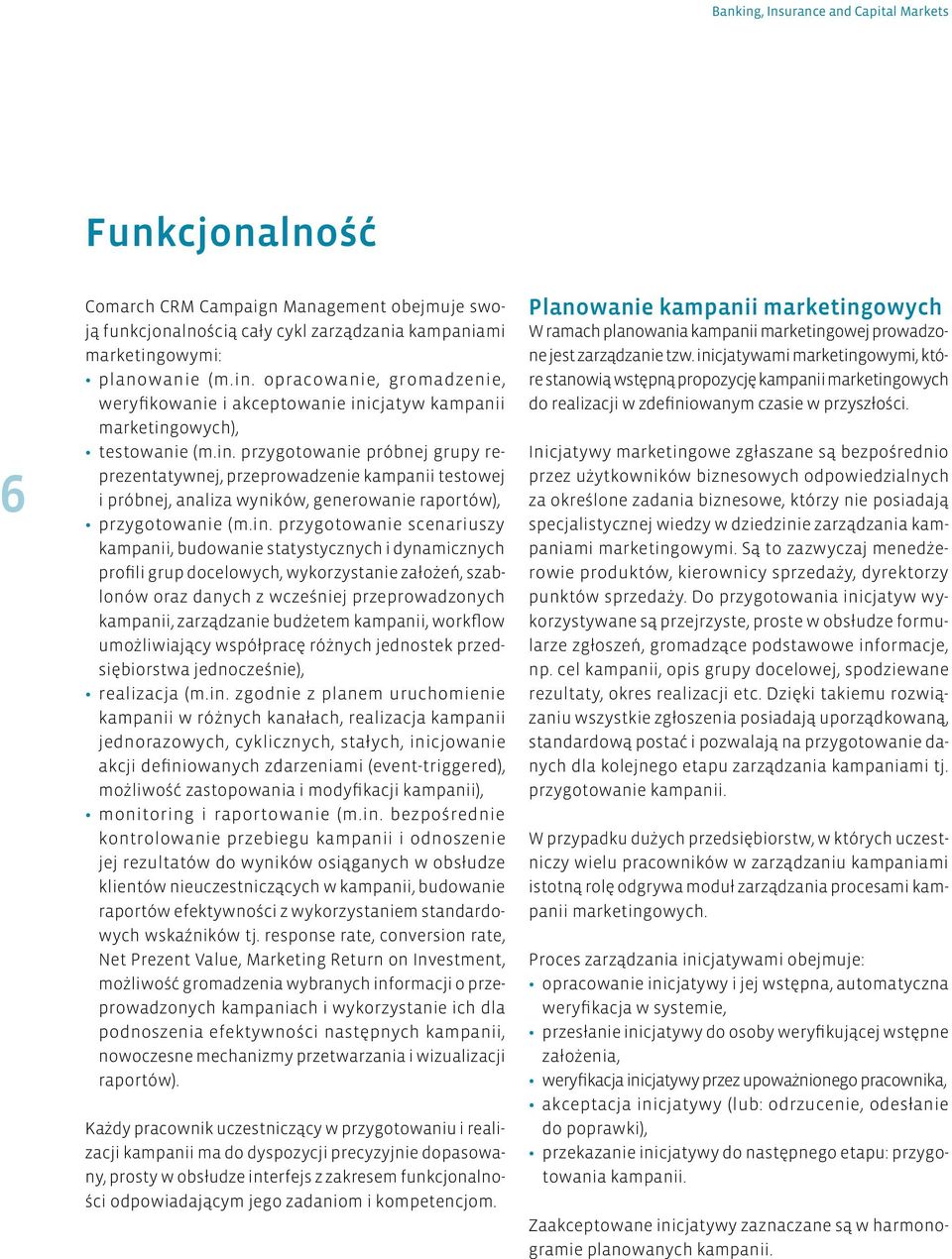 budowanie statystycznych i dynamicznych profili grup docelowych, wykorzystanie założeń, szablonów oraz danych z wcześniej przeprowadzonych kampanii, zarządzanie budżetem kampanii, workflow