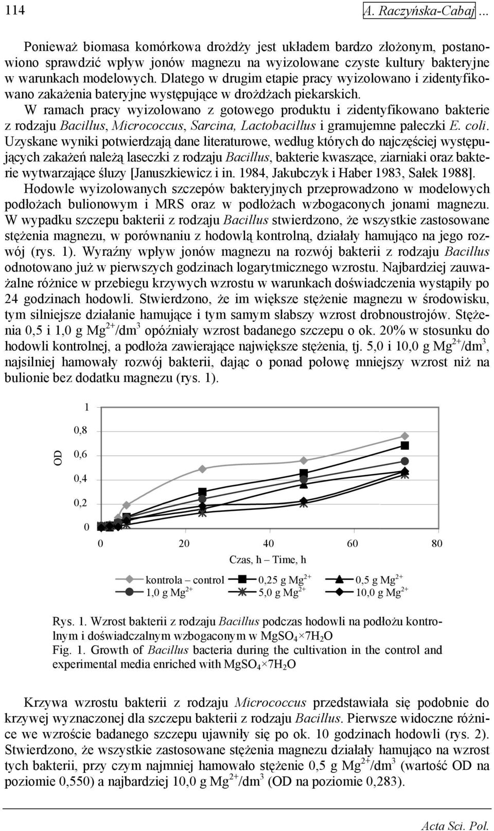 W ramach pracy wyizolowano z gotowego produktu i zidentyfikowano bakterie z rodzaju Bacillus, Micrococcus, Sarcina, Lactobacillus i gramujemne pałeczki E. coli.