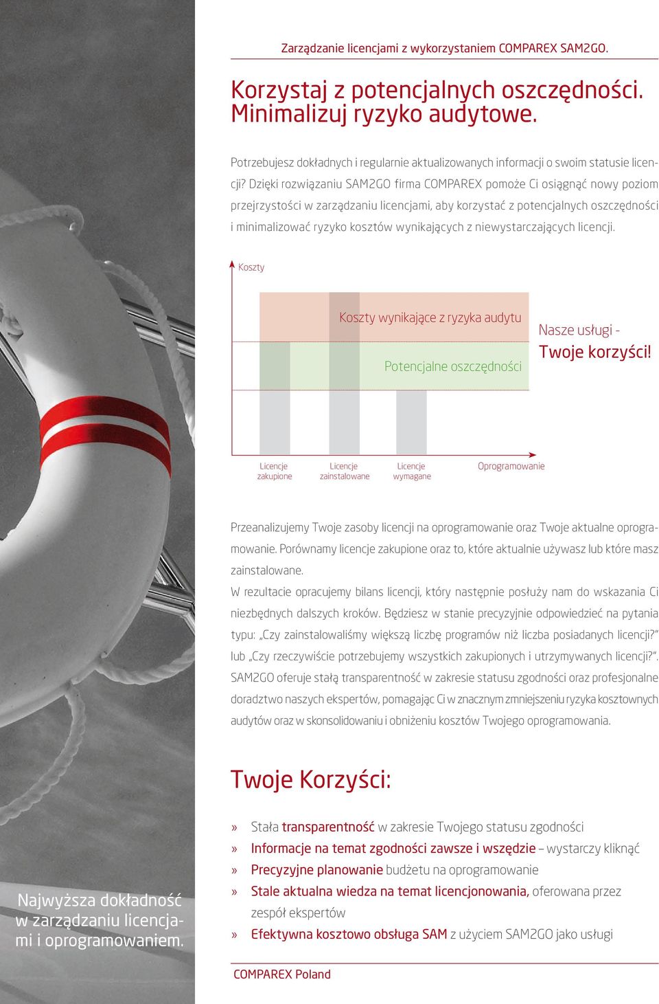 z niewystarczających licencji. Koszty Koszty wynikające z ryzyka audytu Potencjalne oszczędności Nasze usługi - Twoje korzyści!