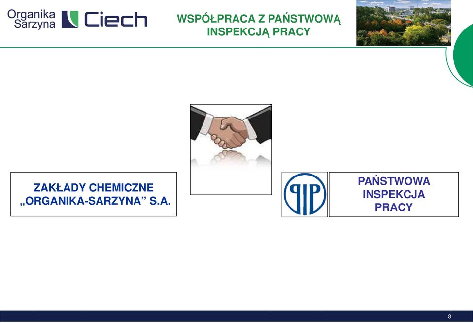 CHEMICZNE ORGANIKA-SARZYNA