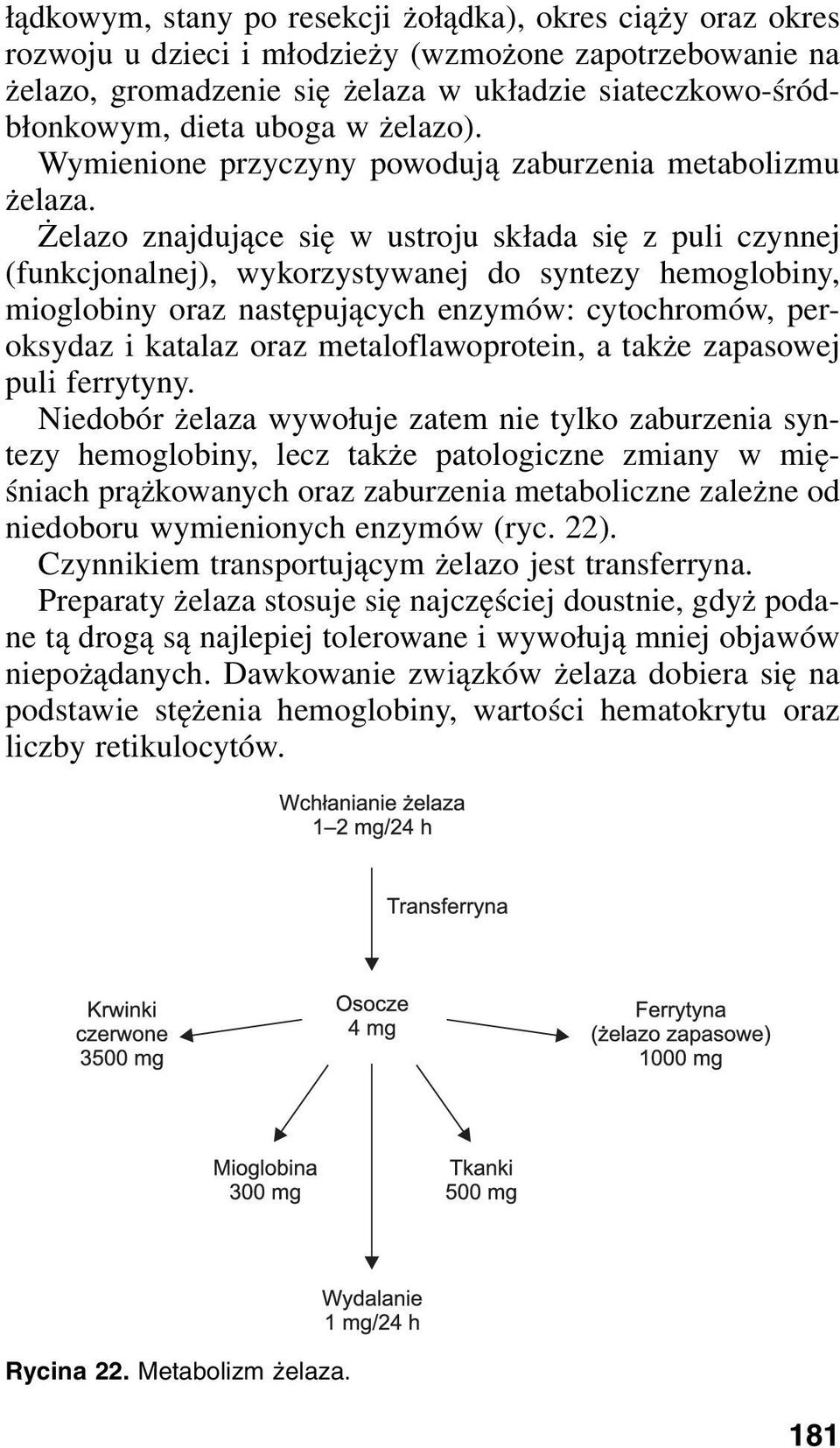 Żelazo znajdujące się w ustroju składa się z puli czynnej (funkcjonalnej), wykorzystywanej do syntezy hemoglobiny, mioglobiny oraz następujących enzymów: cytochromów, peroksydaz i katalaz oraz