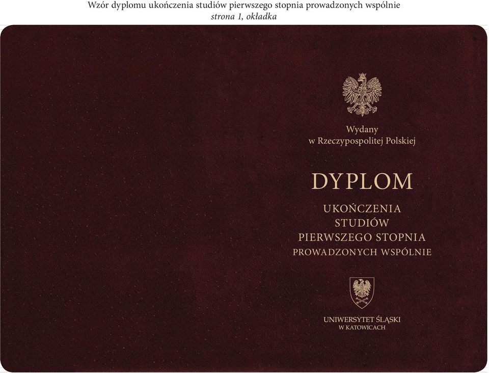 Wydany w Rzeczypospolitej Polskiej DYPLOM