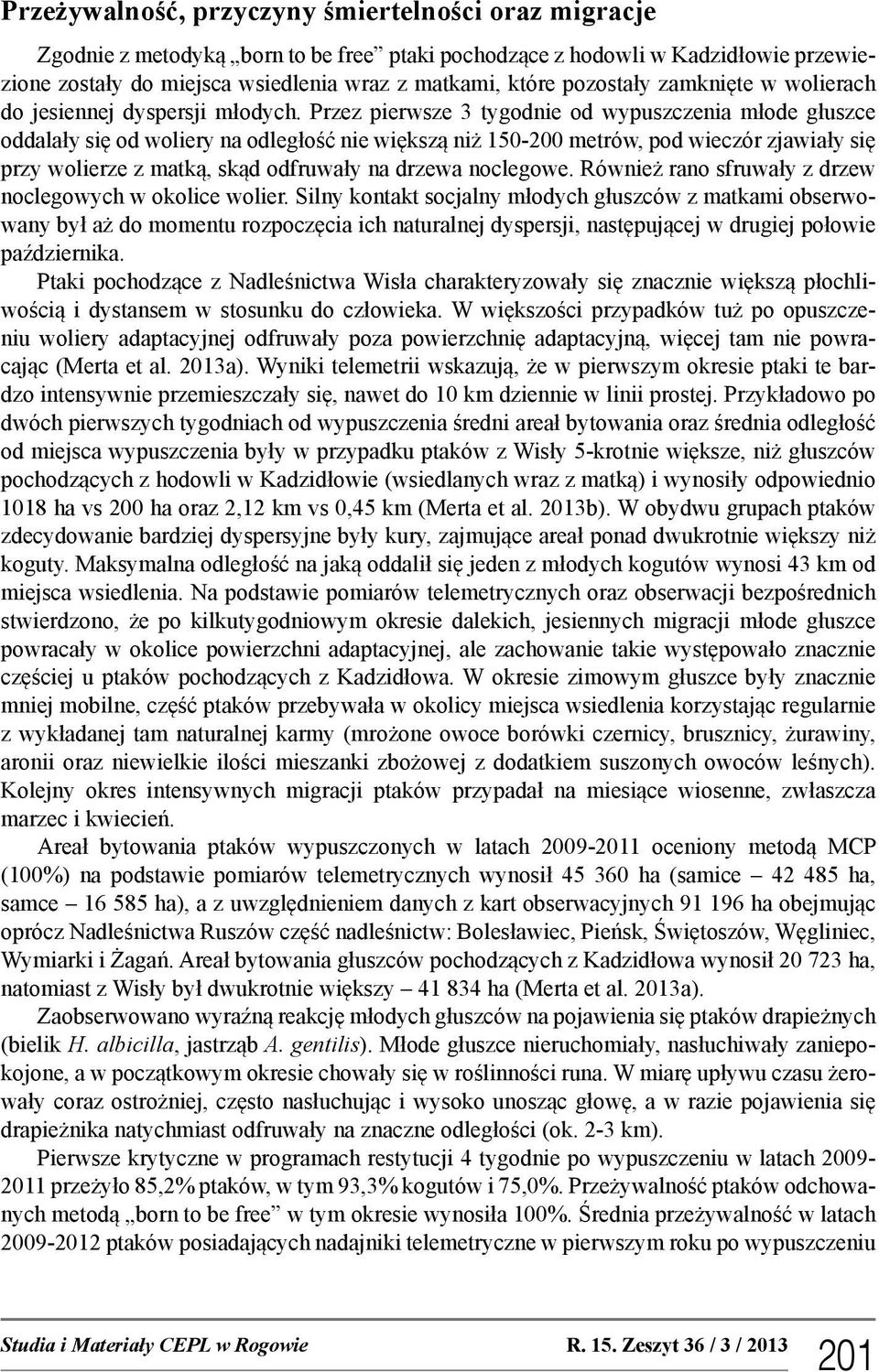 Przez pierwsze 3 tygodnie od wypuszczenia młode głuszce oddalały się od woliery na odległość nie większą niż 150-200 metrów, pod wieczór zjawiały się przy wolierze z matką, skąd odfruwały na drzewa