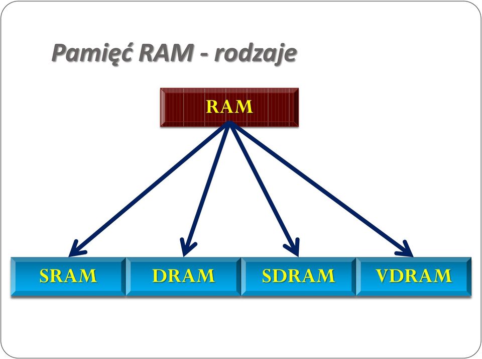 rodzaje