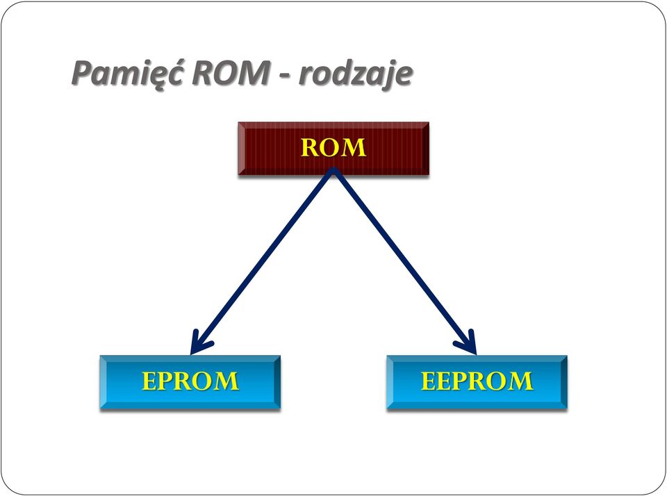 rodzaje