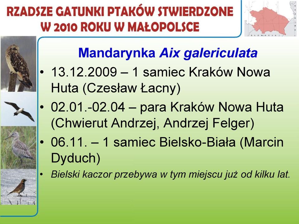 04 para Kraków Nowa Huta (Chwierut Andrzej, Andrzej Felger) 06.