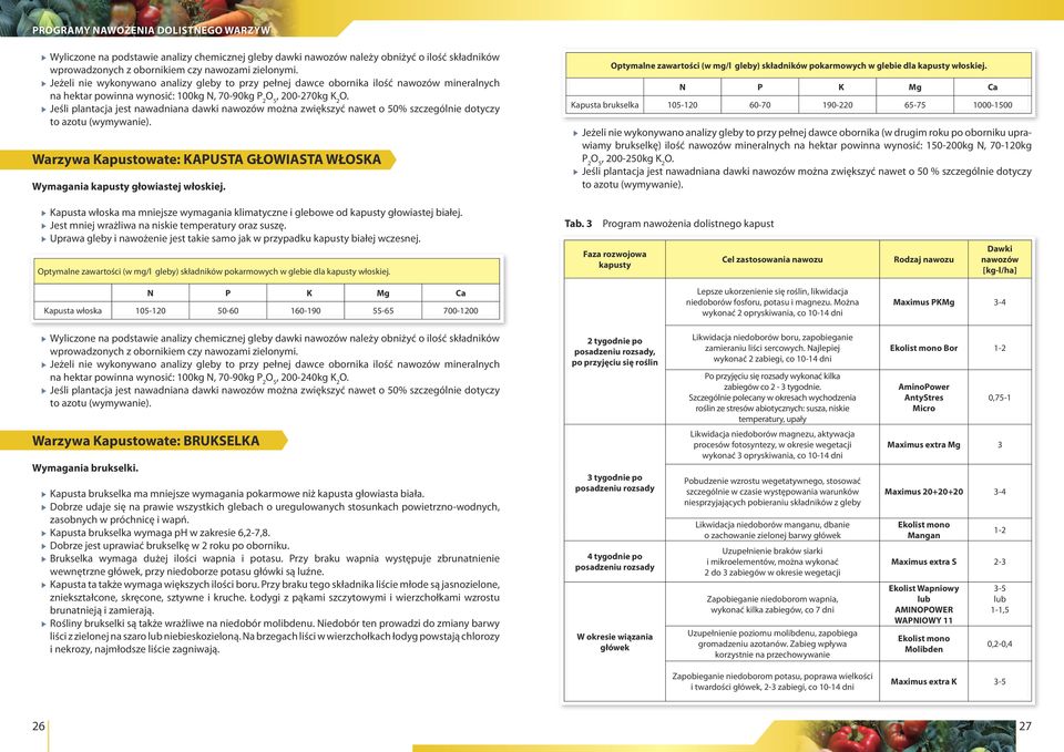 nawozów można zwiększyć nawet o 50% szczególnie dotyczy to azotu (wymywanie). Warzywa Kapustowate: KAPUSTA GŁOWIASTA WŁOSKA Wymagania kapusty głowiastej włoskiej.