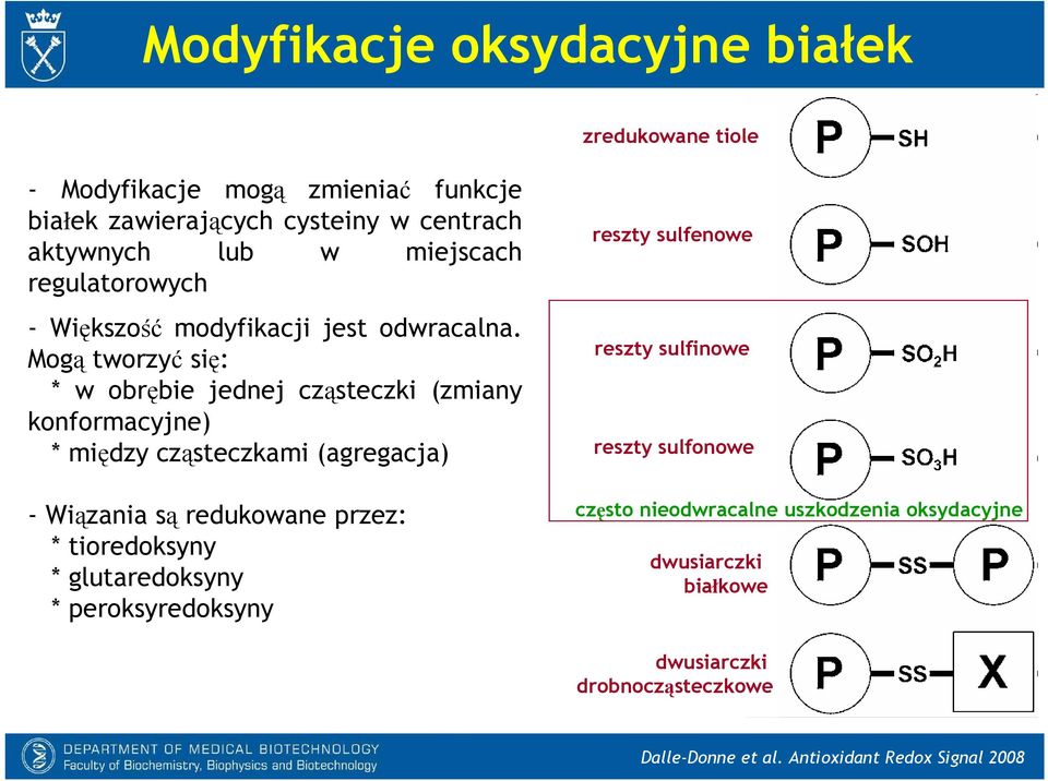 Mogą tworzyć się: * w obrębie jednej cząsteczki (zmiany konformacyjne) * między cząsteczkami (agregacja) - Wiązania są redukowane przez: *