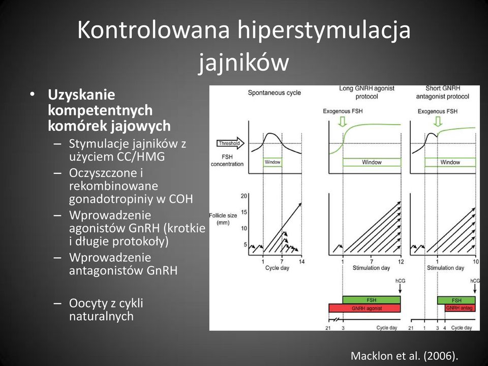 w COH Wprowadzenie agonistów GnRH (krotkie i długie protokoły) Wprowadzenie