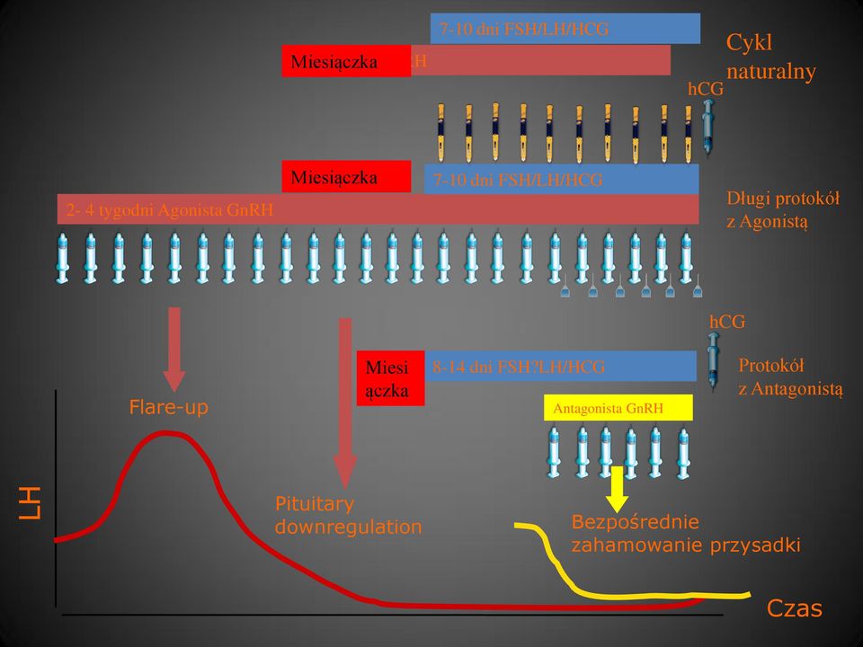 Agonistą hcg Flare-up Miesi ączka 8-14 dni FSH?