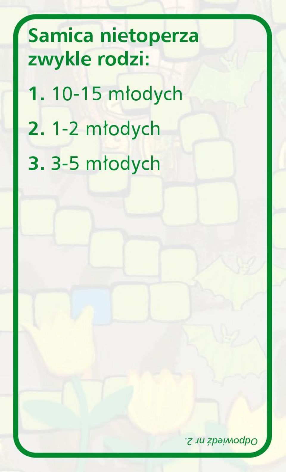 10-15 młodych 2.