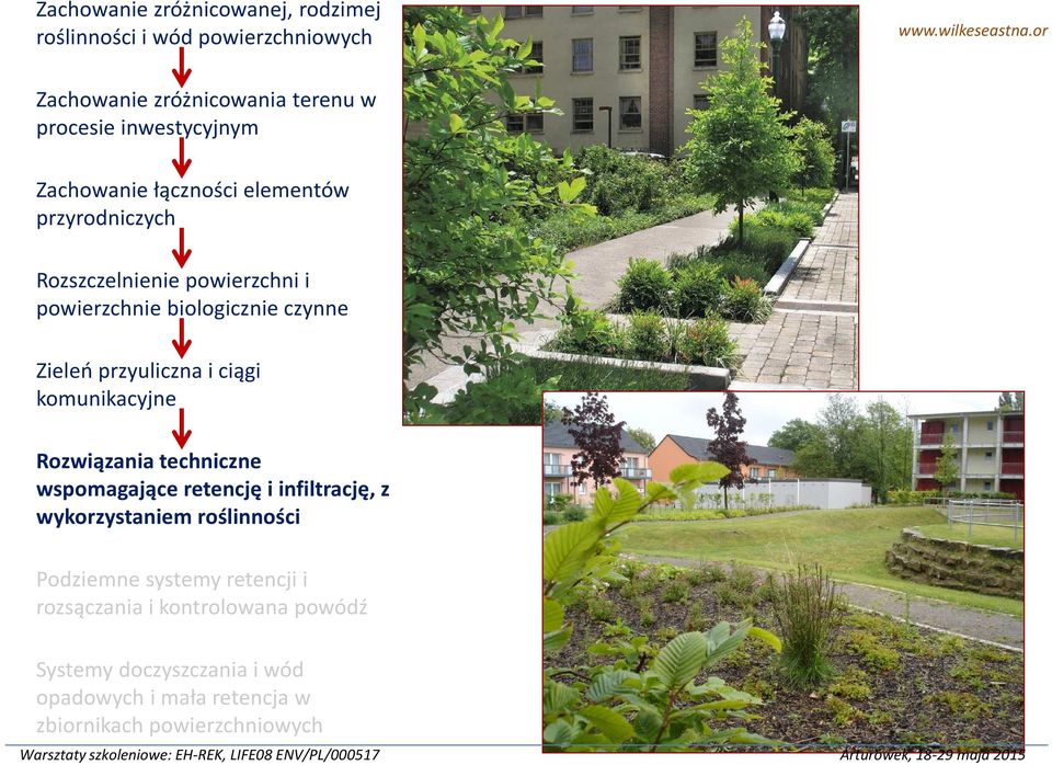 powierzchni i powierzchnie biologicznie czynne Zieleń przyuliczna i ciągi komunikacyjne Rozwiązania techniczne wspomagające retencję