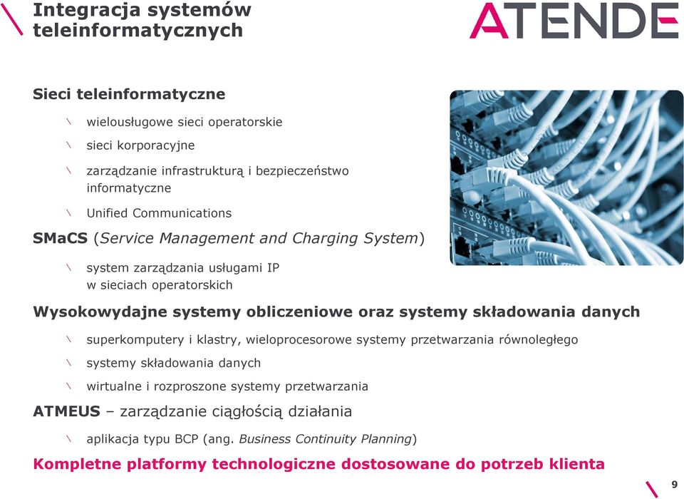 obliczeniowe oraz systemy składowania danych superkomputery i klastry, wieloprocesorowe systemy przetwarzania równoległego systemy składowania danych wirtualne i