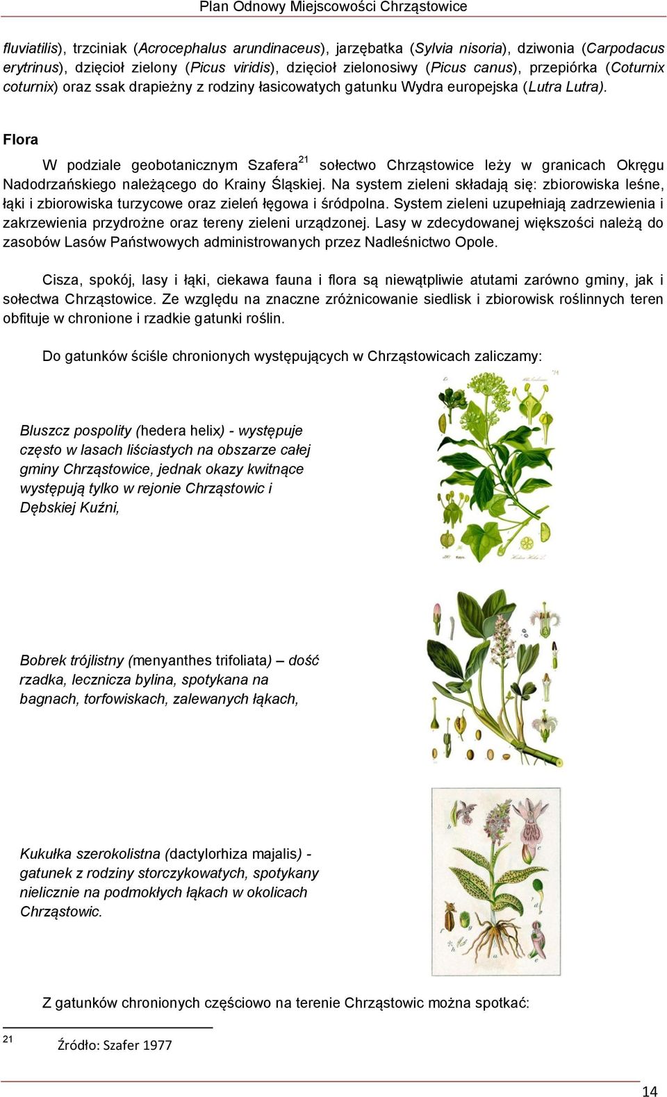Flora W podziale geobotanicznym Szafera 21 sołectwo Chrząstowice leży w granicach Okręgu Nadodrzańskiego należącego do Krainy Śląskiej.