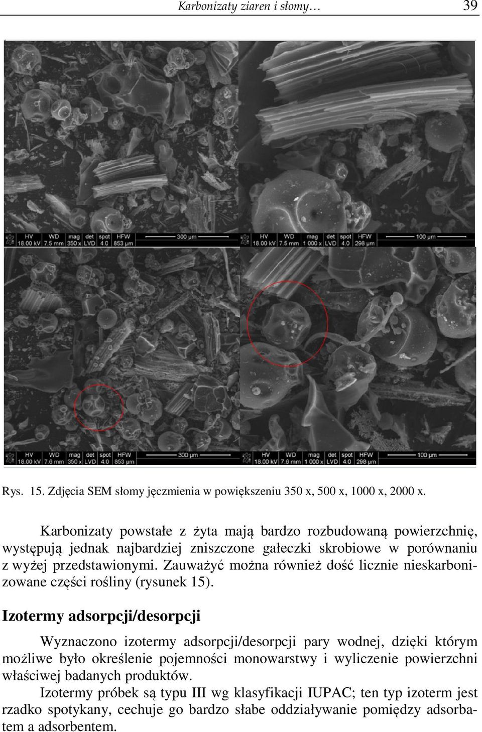 Zauważyć można również dość licznie nieskarbonizowane części rośliny (rysunek 15).