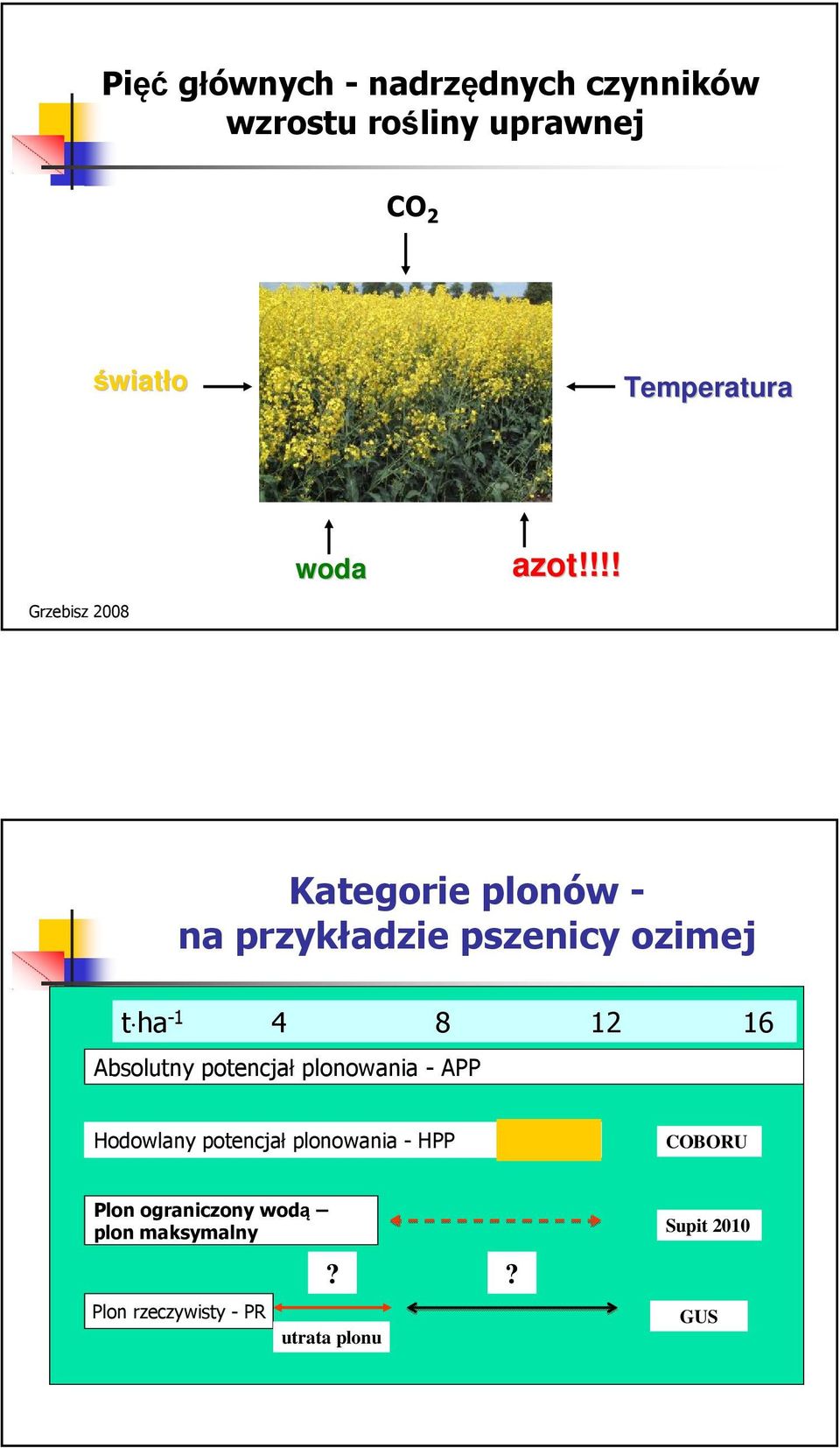 !!! Grzebisz 2008 Kategorie plonów - na przykładzie pszenicy ozimej t ha -1 4 8 12 16