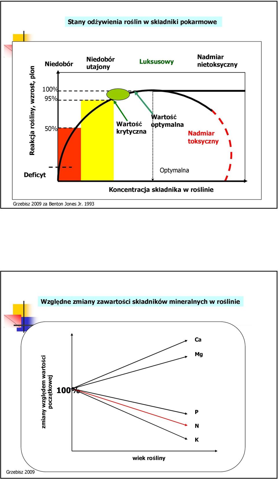 Optymalna Koncentracja składnika w roślinie Grzebisz 2009 za Benton Jones Jr.