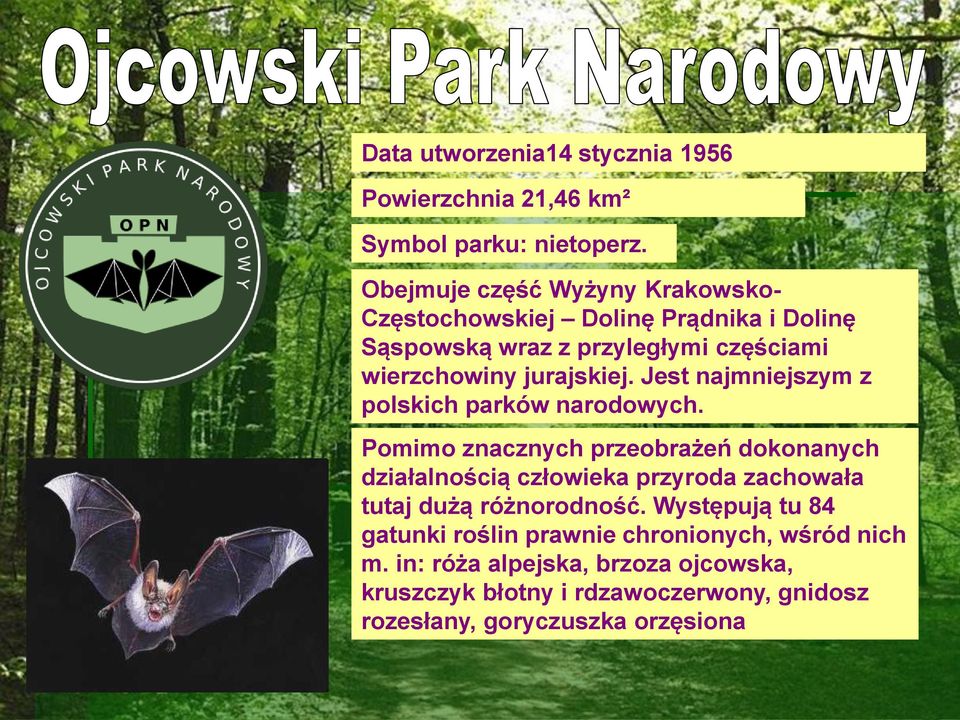 Jest najmniejszym z polskich parków narodowych.