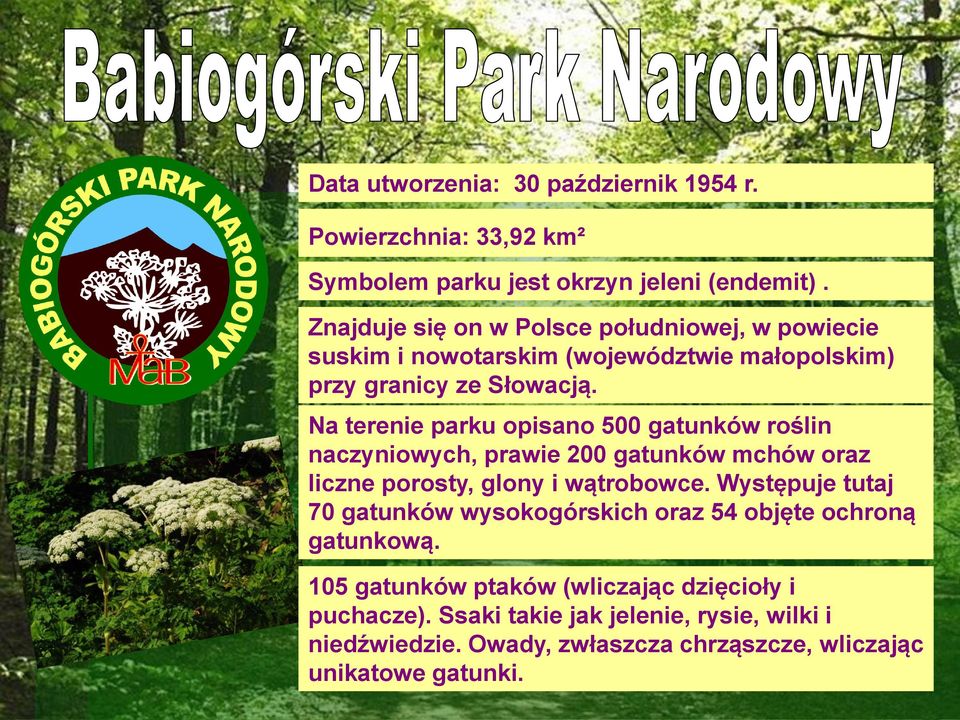 Na terenie parku opisano 500 gatunków roślin naczyniowych, prawie 200 gatunków mchów oraz liczne porosty, glony i wątrobowce.