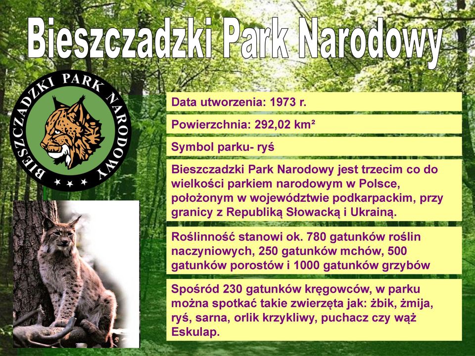 Polsce, położonym w województwie podkarpackim, przy granicy z Republiką Słowacką i Ukrainą. Roślinność stanowi ok.