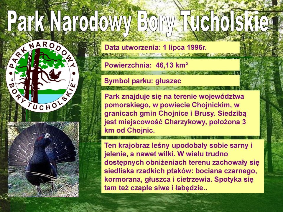 granicach gmin Chojnice i Brusy. Siedzibą jest miejscowość Charzykowy, położona 3 km od Chojnic.