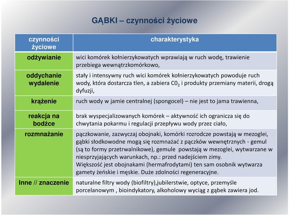 dyfuzji, ruch wody w jamie centralnej (spongocel) nie jest to jama trawienna, brak wyspecjalizowanych komórek aktywność ich ogranicza się do chwytania pokarmu i regulacji przepływu wody przez ciało,