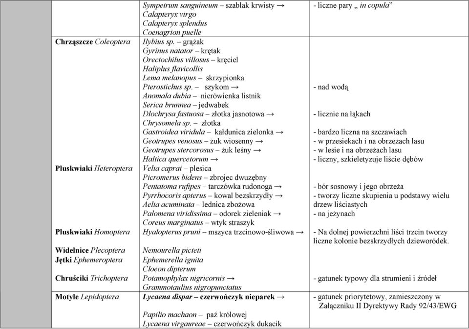 szykom Anomala dubia nierówienka listnik Serica brunnea jedwabek Dlochrysa fastuosa złotka jasnotowa Chrysomela sp.