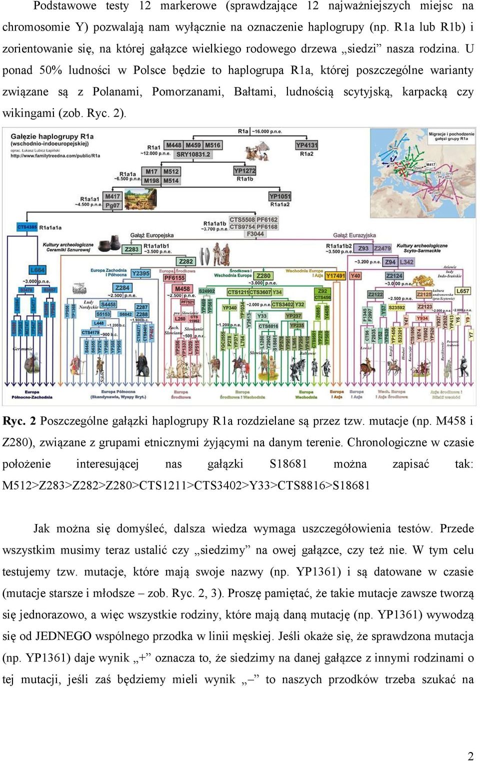 U ponad 50% ludności w Polsce będzie to haplogrupa R1a, której poszczególne warianty związane są z Polanami, Pomorzanami, Bałtami, ludnością scytyjską, karpacką czy wikingami (zob. Ryc.