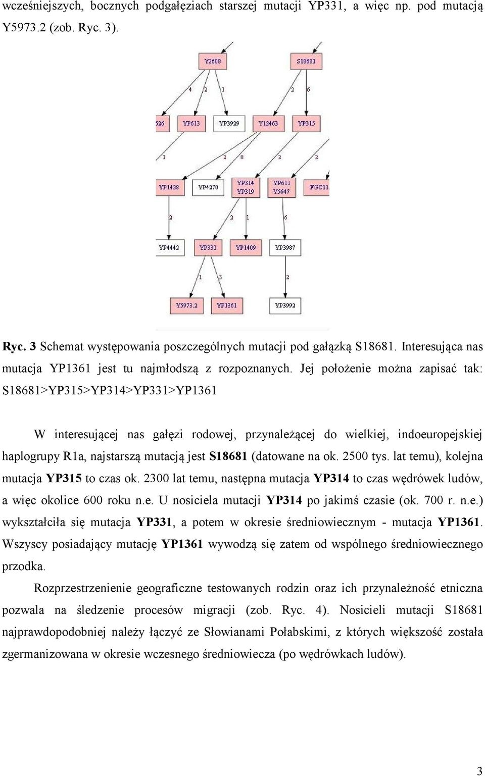 Jej położenie można zapisać tak: S18681>YP315>YP314>YP331>YP1361 W interesującej nas gałęzi rodowej, przynależącej do wielkiej, indoeuropejskiej haplogrupy R1a, najstarszą mutacją jest S18681