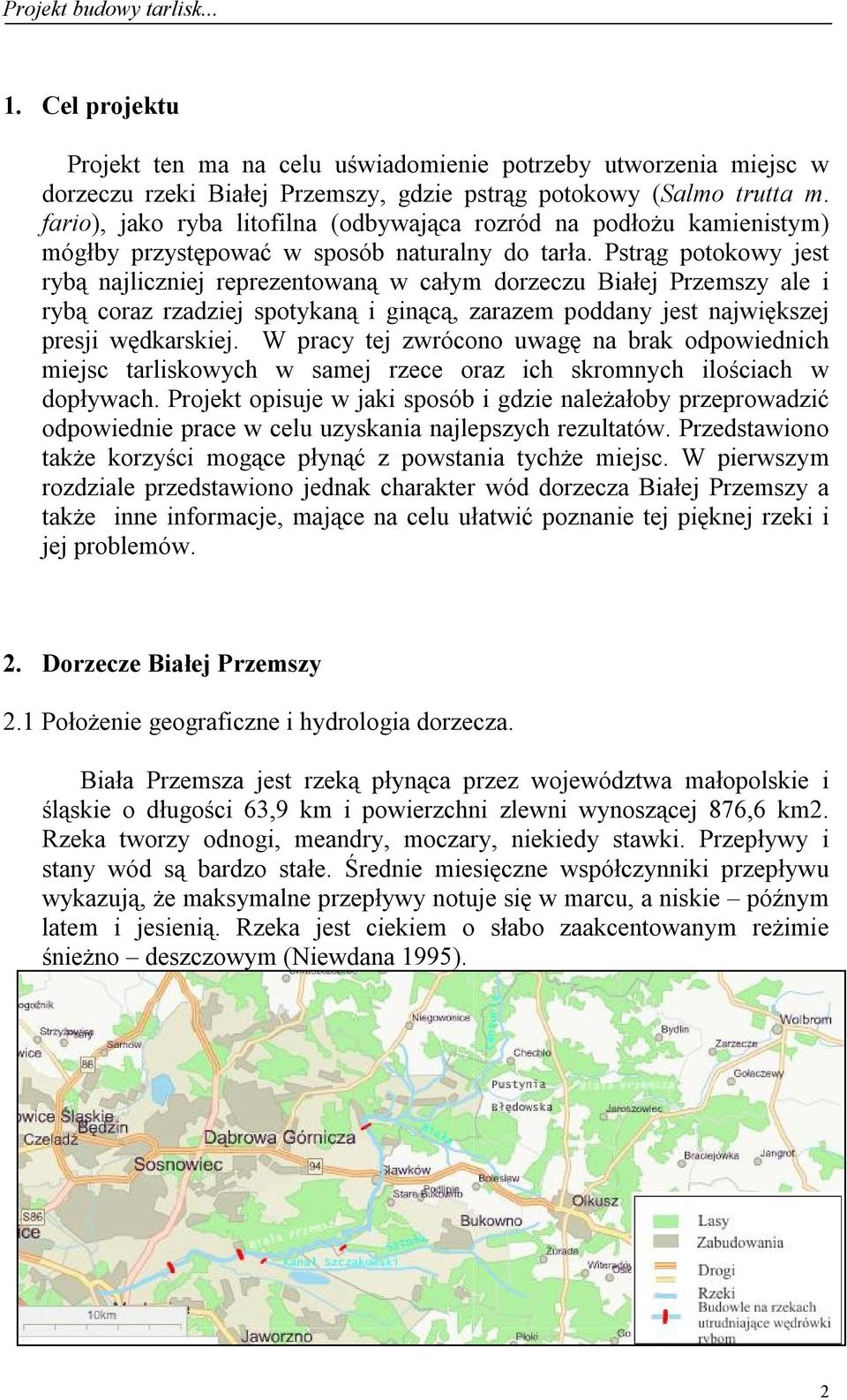 Pstrąg potokowy jest rybą najliczniej reprezentowaną w całym dorzeczu Białej Przemszy ale i rybą coraz rzadziej spotykaną i ginącą, zarazem poddany jest największej presji wędkarskiej.